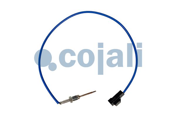 Sensor uitlaatgastemperatuur Cojali 2262068