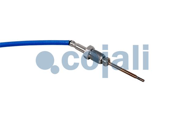 Cojali Sensor uitlaatgastemperatuur 2262068