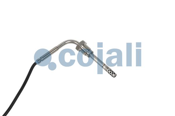 Cojali Sensor uitlaatgastemperatuur 2262652