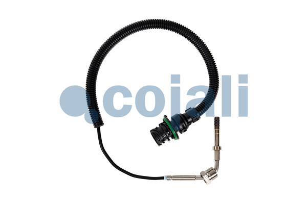 Sensor uitlaatgastemperatuur Cojali 2262659