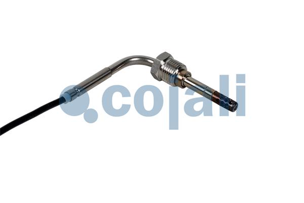 Cojali Sensor uitlaatgastemperatuur 2262659