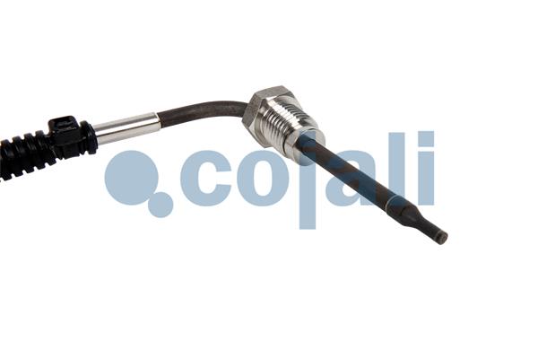 Cojali Sensor uitlaatgastemperatuur 2262660