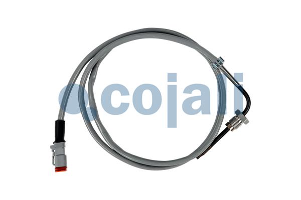 Sensor uitlaatgastemperatuur Cojali 2262666