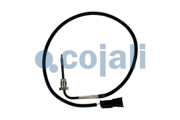 Sensor uitlaatgastemperatuur Cojali 2263041