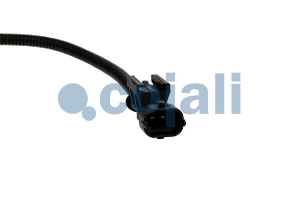 Cojali Sensor uitlaatgastemperatuur 2263041