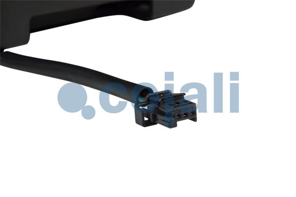 Cojali Pookknoppen  2264001