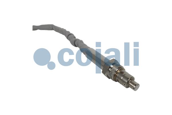 Cojali Nox-sensor (katalysator) 2269031