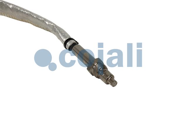 Cojali Nox-sensor (katalysator) 2269044