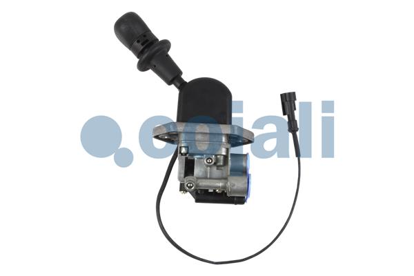 Cojali Remklep 2324302