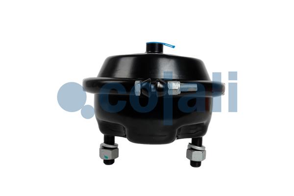 Remcilindermembraan Cojali 2351330