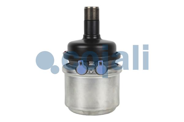 Veeraccumulator remcilinder Cojali 2351418