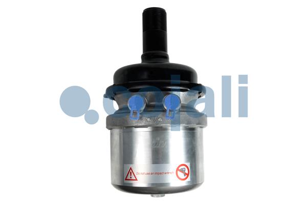 Veeraccumulator remcilinder Cojali 2351434