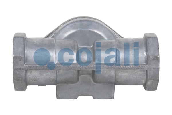Cojali Overstroomklep 2406004