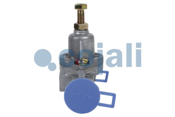 Cojali Overstroomklep 2406012