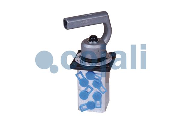 Niveauregeling/regulator Cojali 2415100