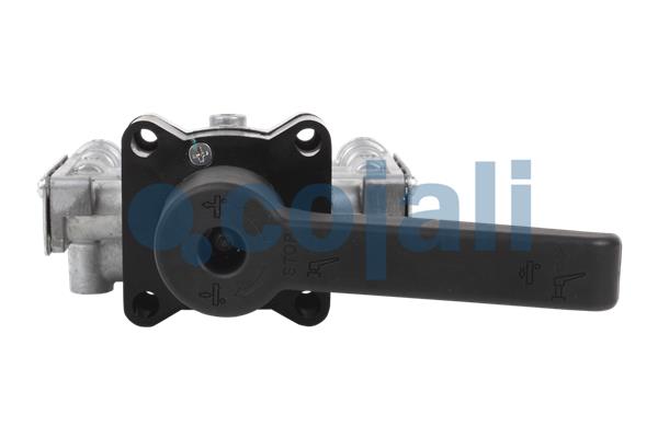 Cojali Niveauregeling/regulator 2415103