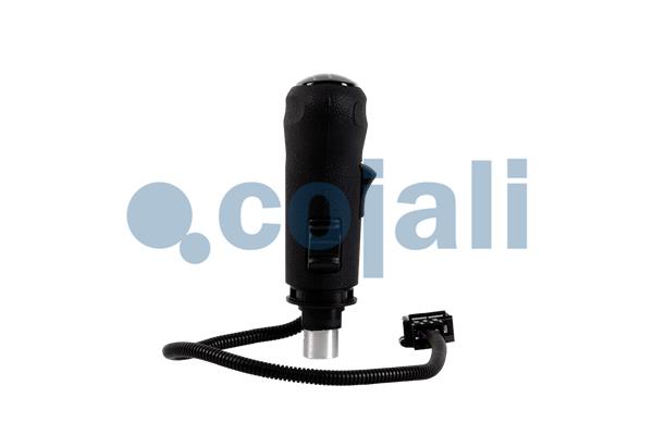 Cojali Pookknoppen  2880192