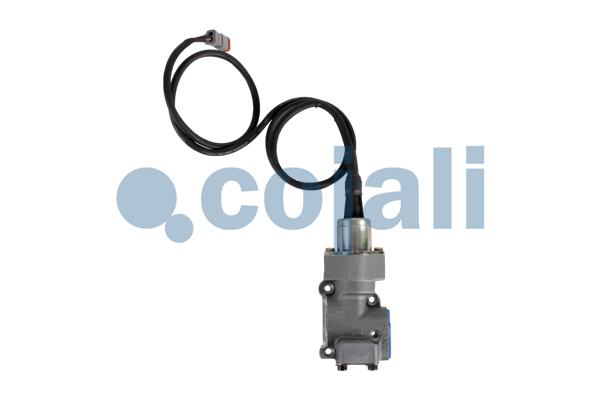 EGR-klep Cojali 2880225