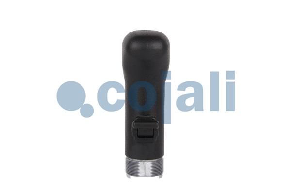 Cojali Pookknoppen  2880236