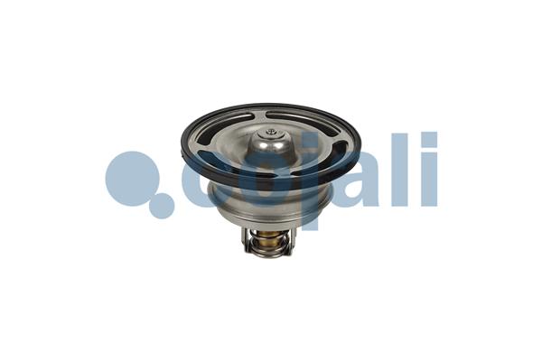 Cojali Thermostaat 2880274