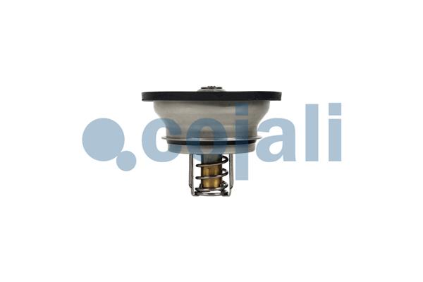 Cojali Thermostaat 2880274