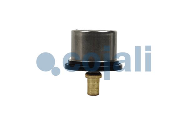 Cojali Thermostaat 2880275
