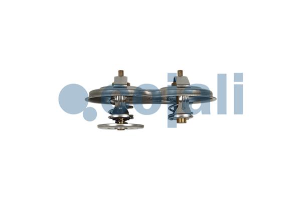 Cojali Thermostaat 2880279