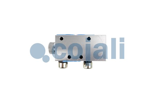 Meerwegklep Cojali 2880285