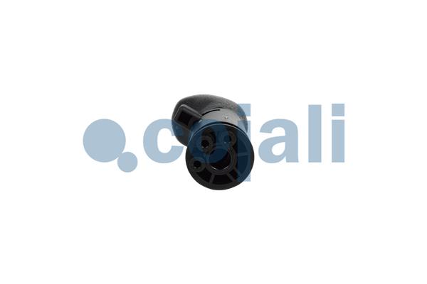 Cojali Pookknoppen  2880289