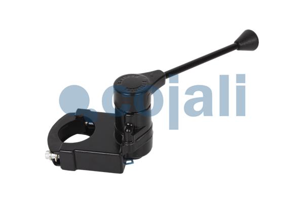 Remklep Cojali 2991100