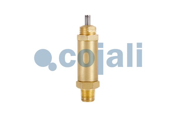 Multicircuit beschermingsklep Cojali 2991104