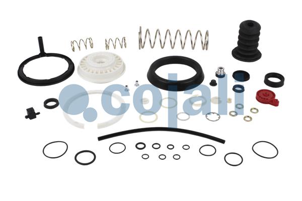 Koppelingsbekrachtiger reparatieset Cojali 6012158