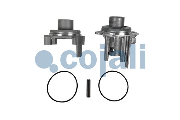 Pakkingset Cojali 6012322