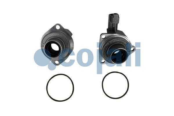 Pakkingset Cojali 6012324