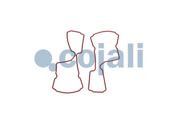 Pakkingset Cojali 6012333