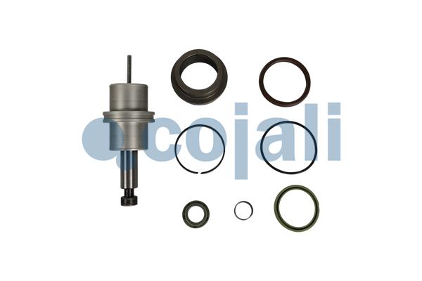 Pakkingset Cojali 6012397