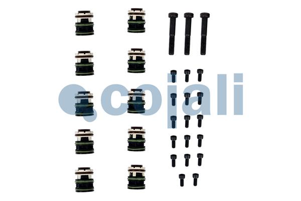 Pakkingset Cojali 6012406