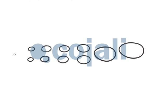 Cojali Koppelingsbekrachtiger reparatieset 6032002