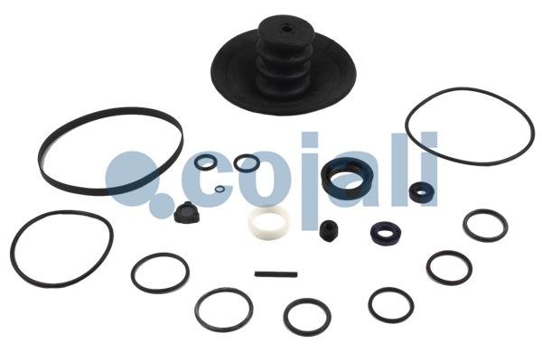 Koppelingsbekrachtiger reparatieset Cojali 6032108