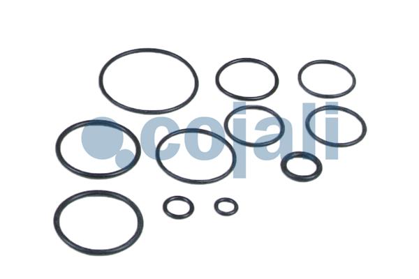 Cojali Koppelingsbekrachtiger reparatieset 6032117