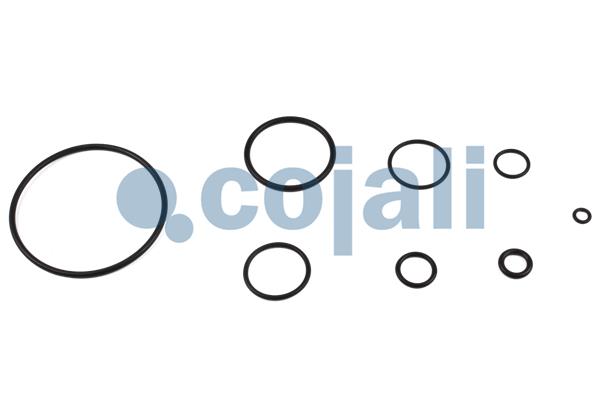 Cojali Koppelingsbekrachtiger reparatieset 6032124