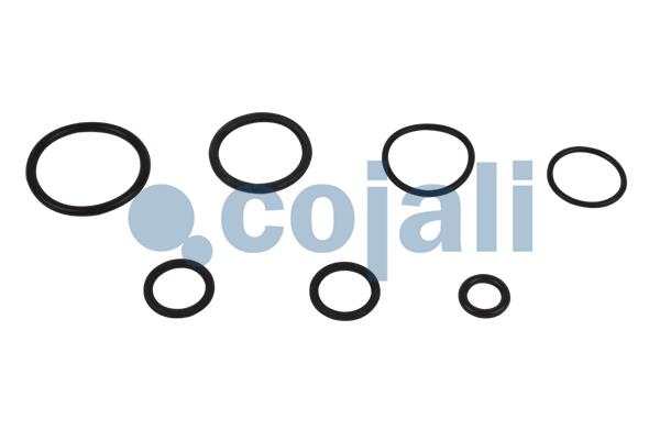 Cojali Koppelingsbekrachtiger reparatieset 6034021