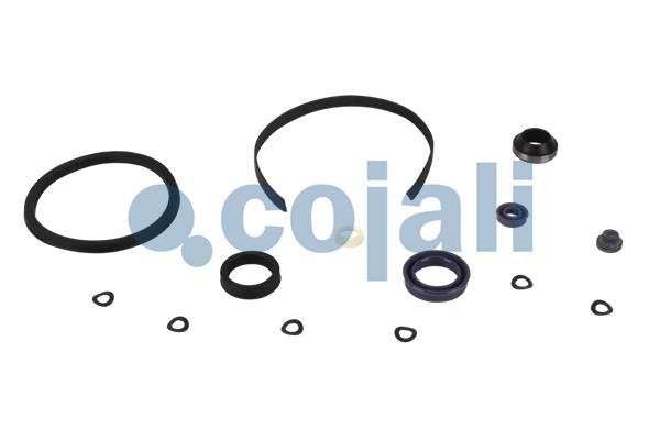 Cojali Koppelingsbekrachtiger reparatieset 6034023