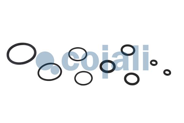 Cojali Koppelingsbekrachtiger reparatieset 6034023