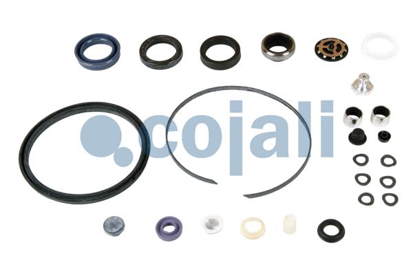 Cojali Koppelingsbekrachtiger reparatieset 6034029