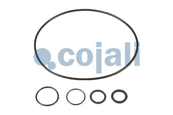 Cojali Koppelingsbekrachtiger reparatieset 6034030