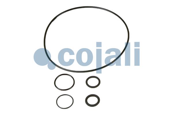 Cojali Koppelingsbekrachtiger reparatieset 6034031