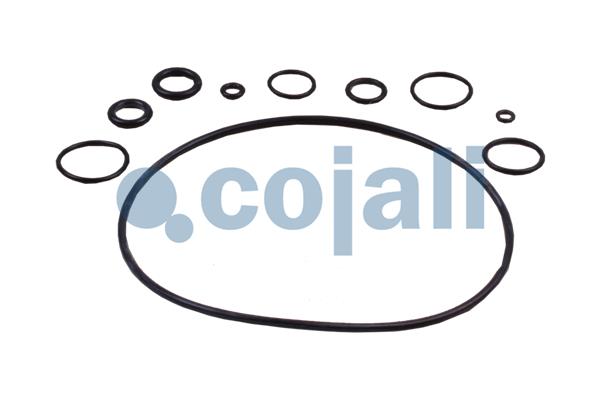 Cojali Koppelingsbekrachtiger reparatieset 6034032