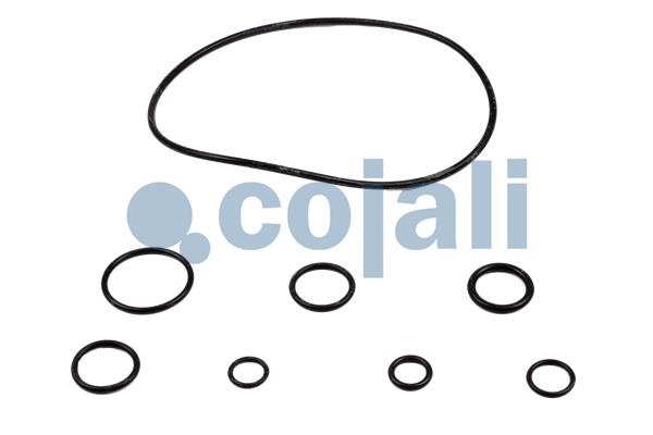 Cojali Koppelingsbekrachtiger reparatieset 6034036