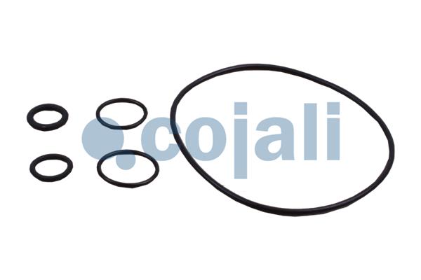 Cojali Koppelingsbekrachtiger reparatieset 6034037